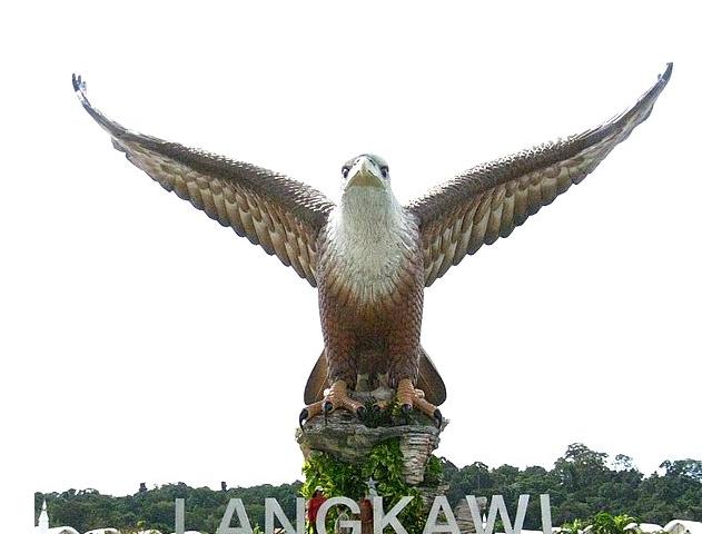 6RRL8N01165156.jpg